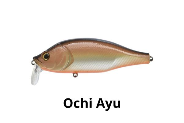 XORÜS Dango 120 SR #Ochi Ayu